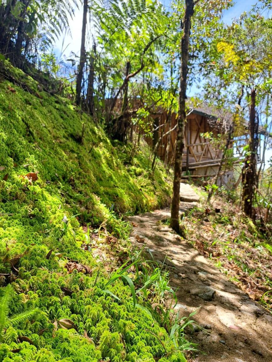 Hotel Guatape Adrianas Bambu Esterno foto